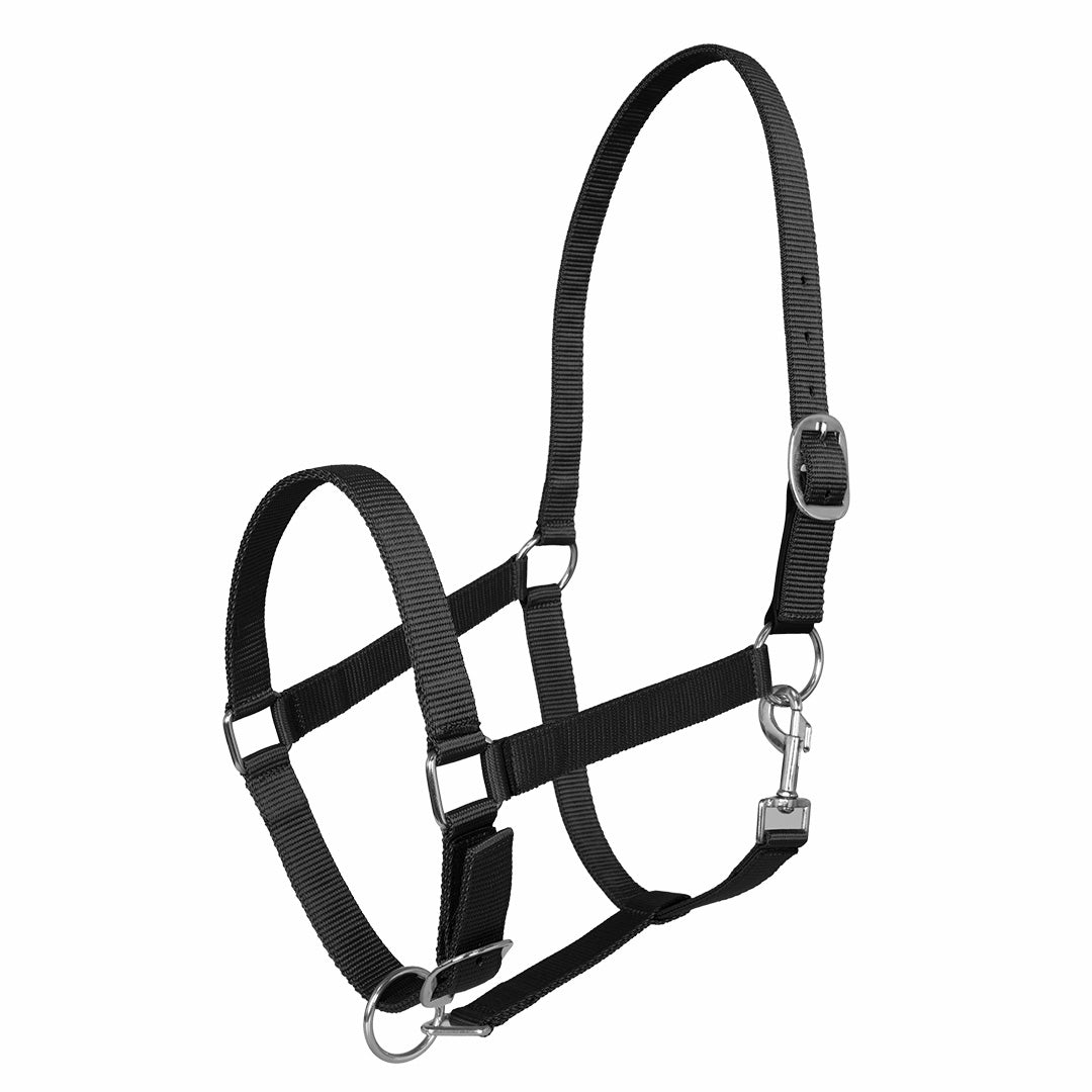 Millers Adjustable Nylon Halter with Snap and Breakaway Leather