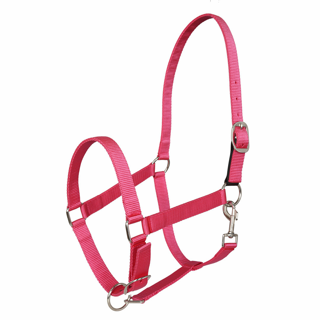 Millers Adjustable Nylon Halter with Snap and Breakaway Leather