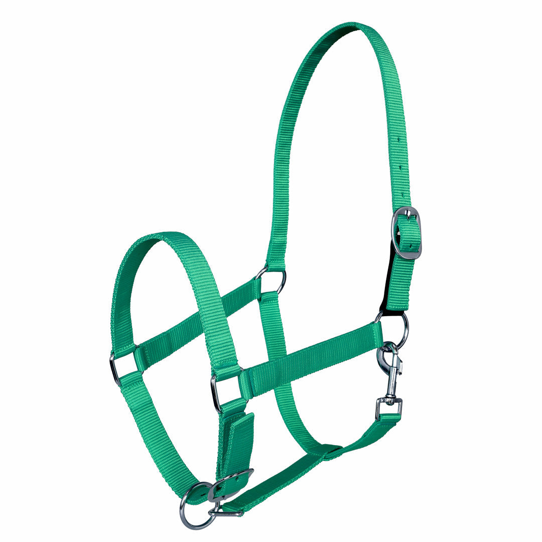 Millers Adjustable Nylon Halter with Snap and Breakaway Leather
