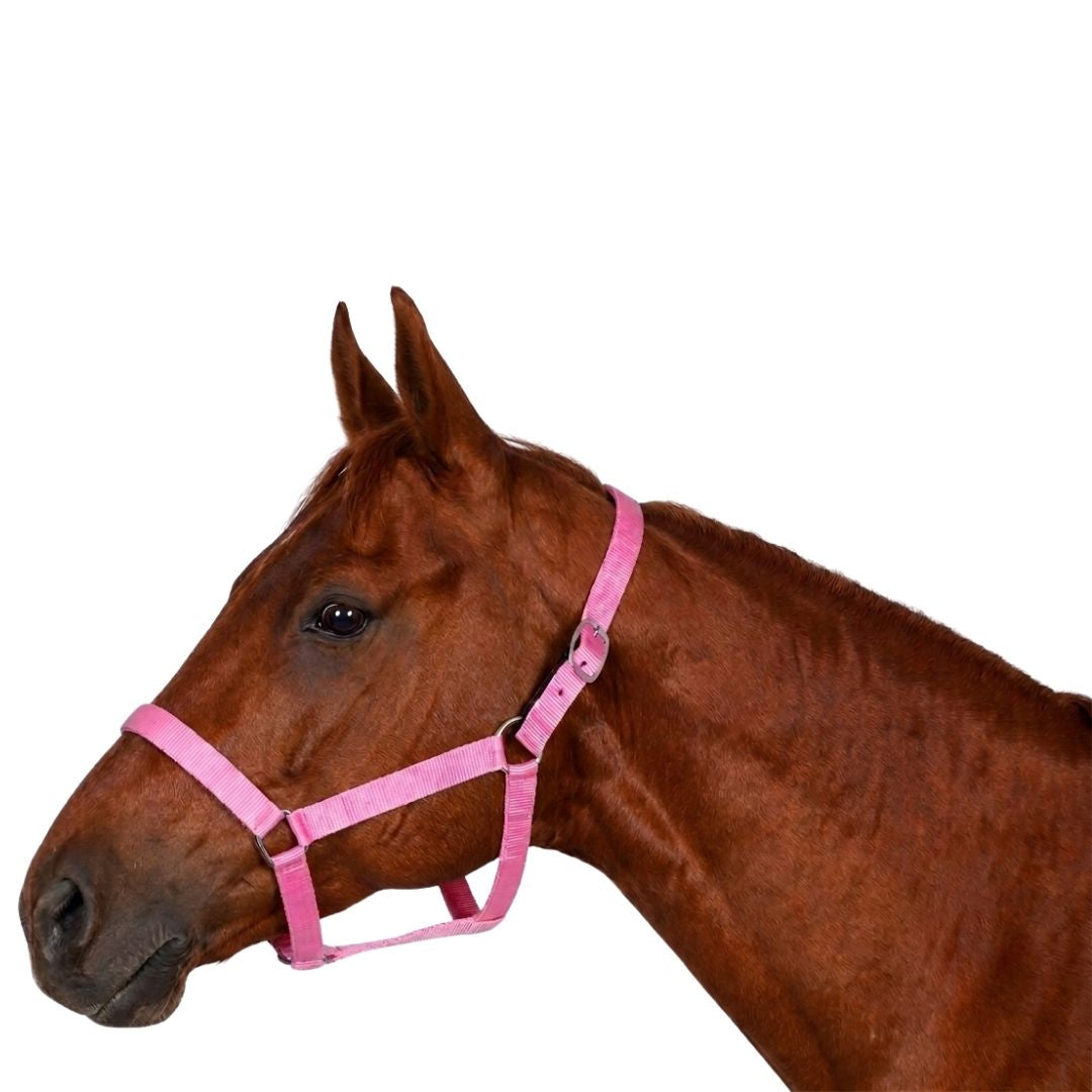 Millers PP Breakaway Halter