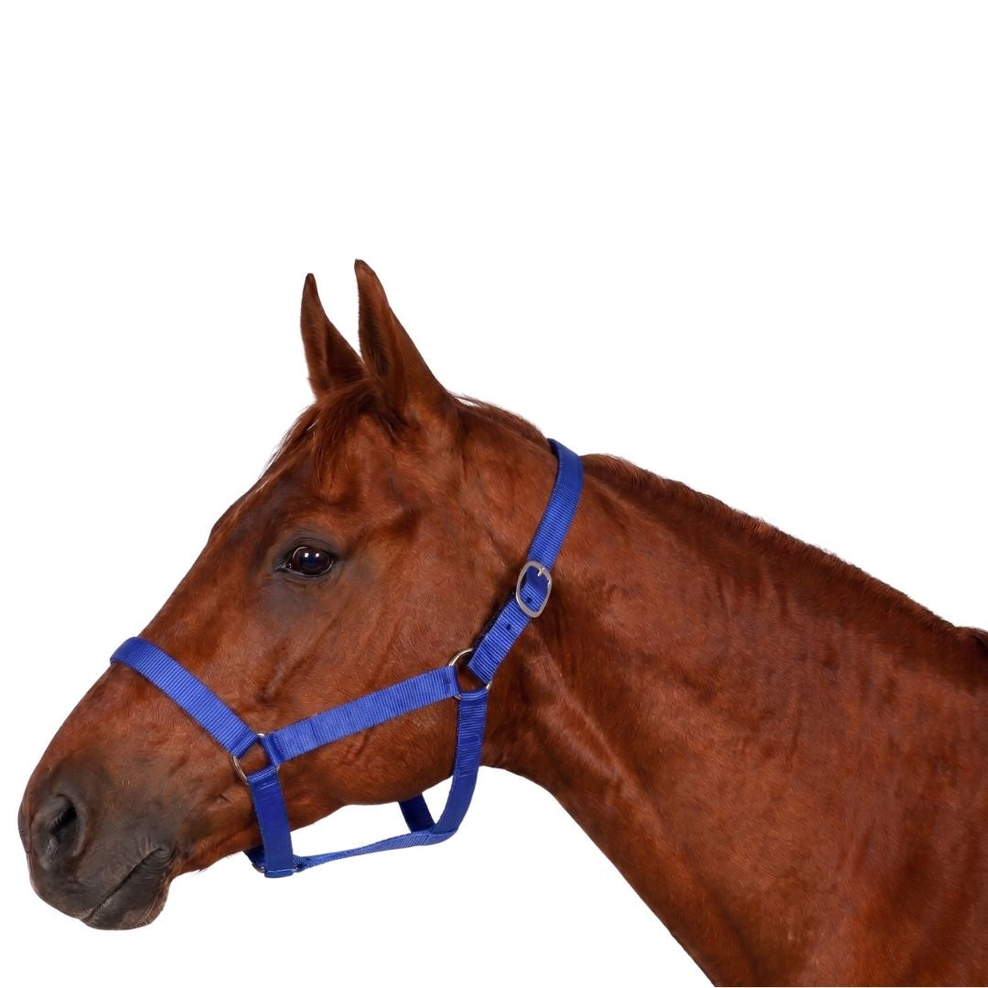 Millers Polypropylene Breakaway Horse Halter