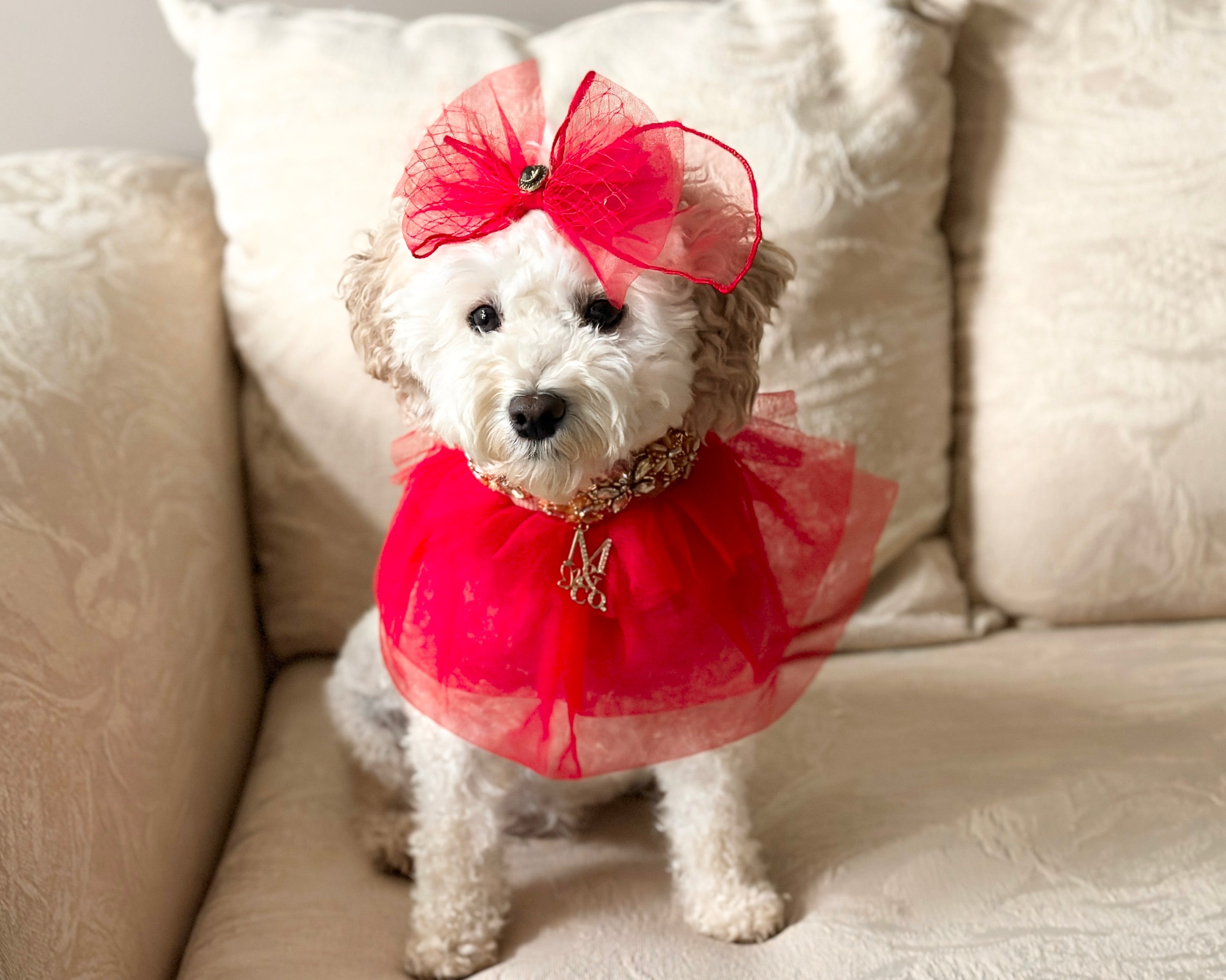 Royal Birthday: My Love