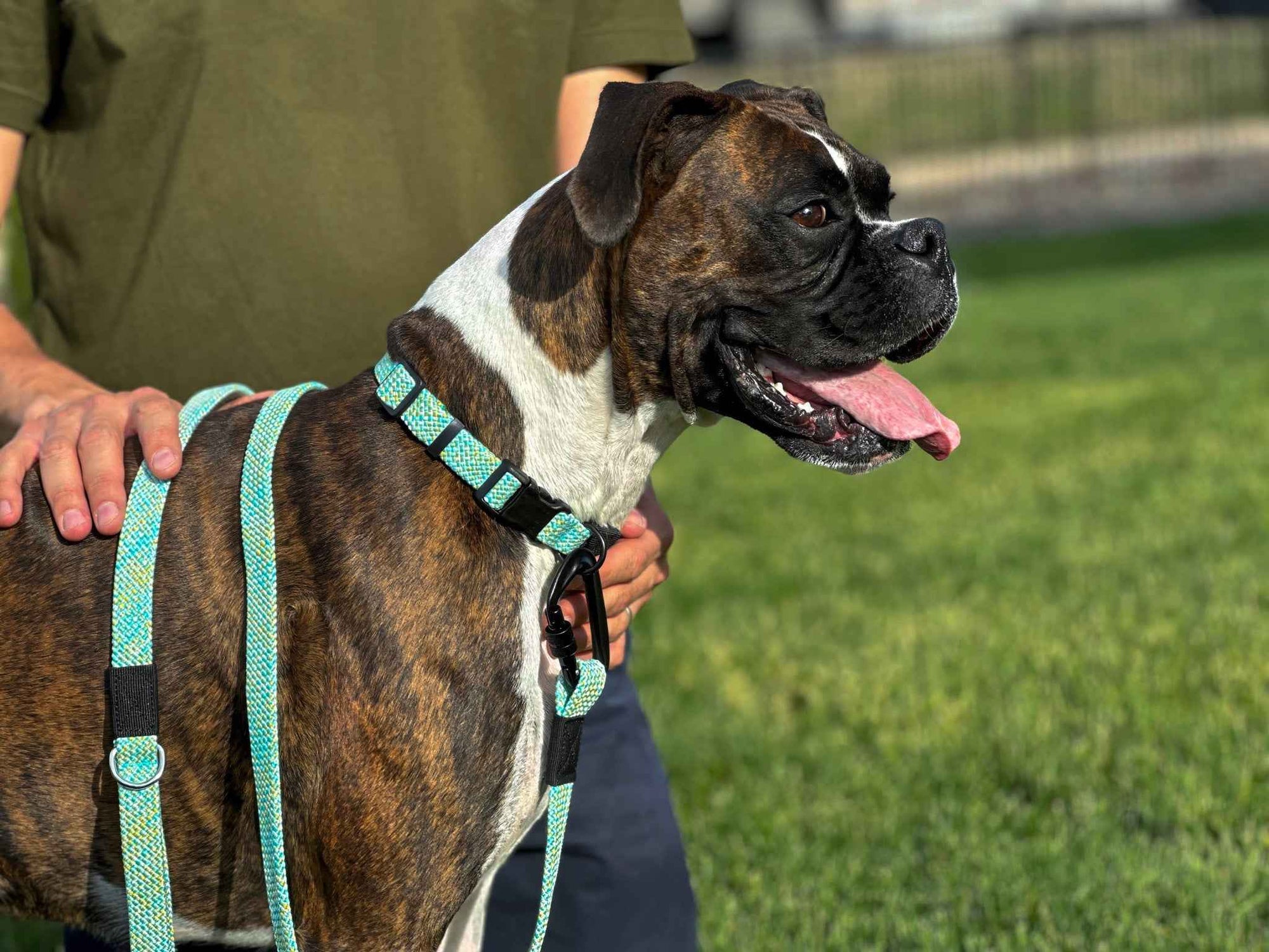 Euro-Dog Mountain Flat-Weave Climbing Rope Dog Leash