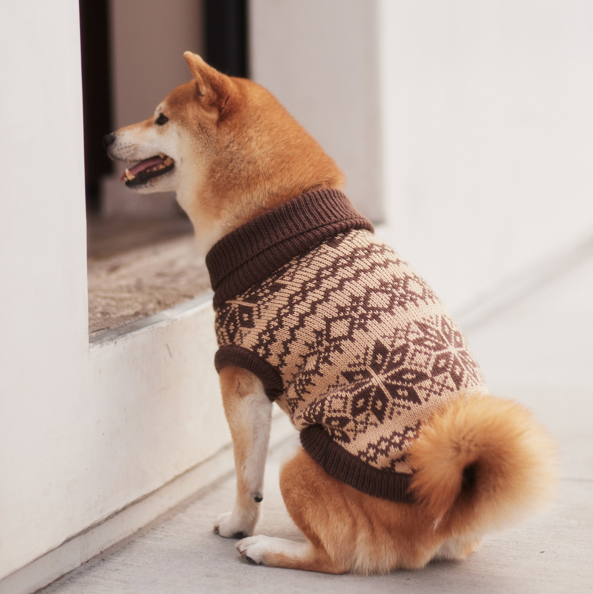 The Latte | Beige Turtleneck Dog Sweater
