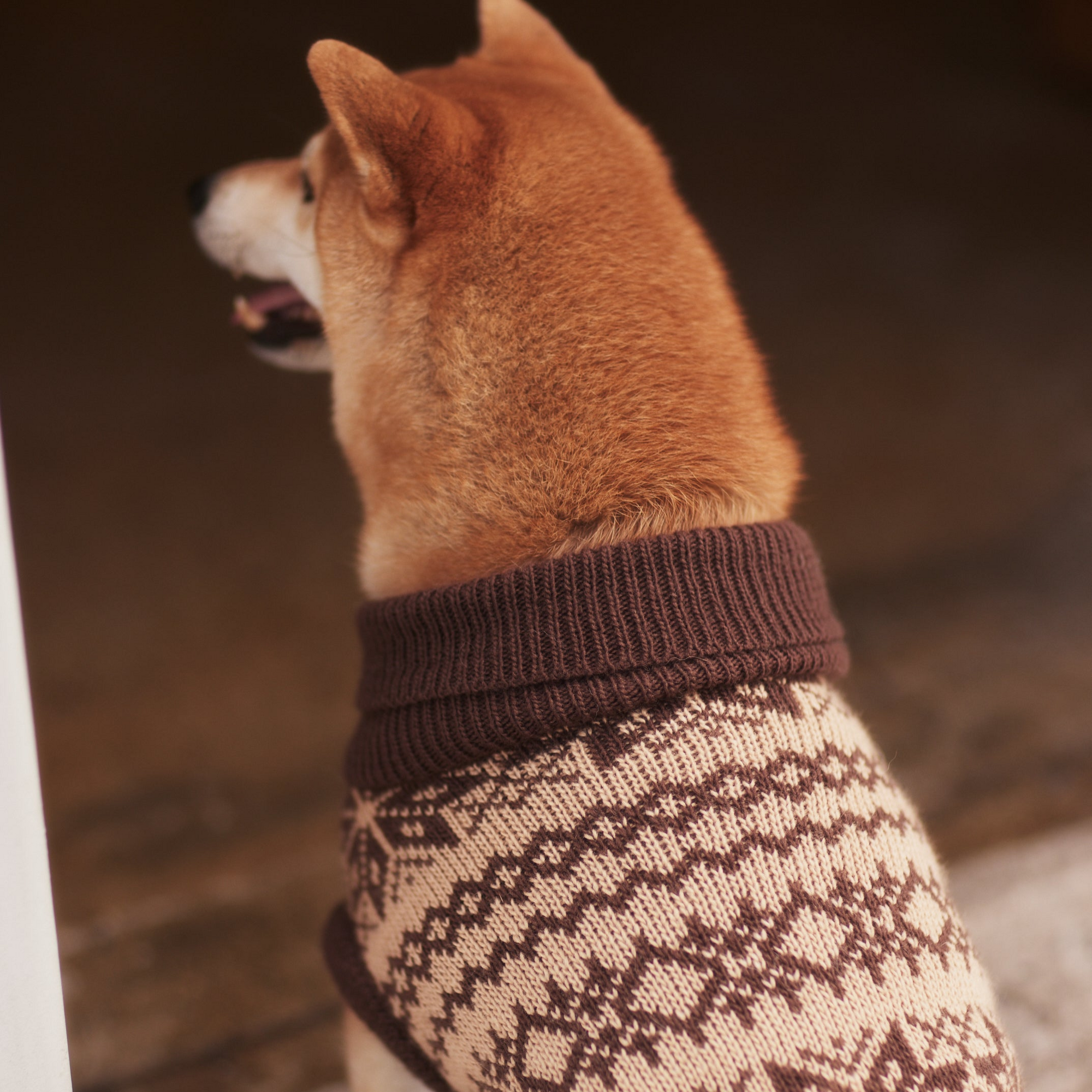 The Latte | Beige Turtleneck Dog Sweater