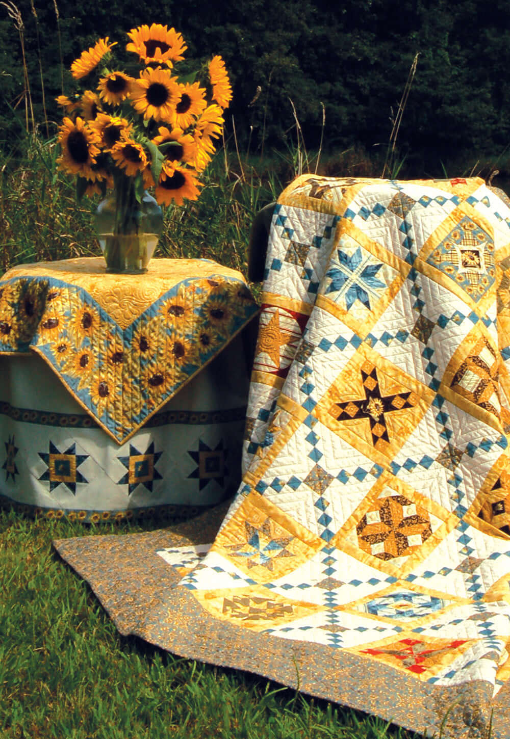 Penny Harens Pieced Appliqué More Blocks & Projects