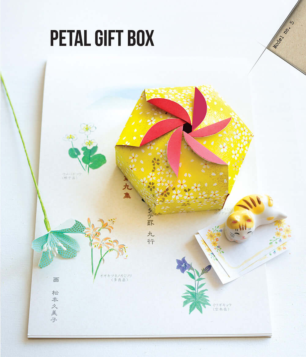 Beginner's Guide to Kirigami