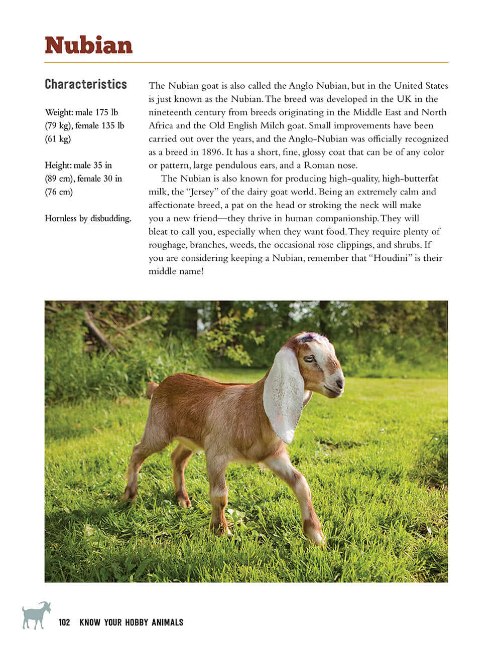 Know Your Hobby Animals: A Breed Encyclopedia