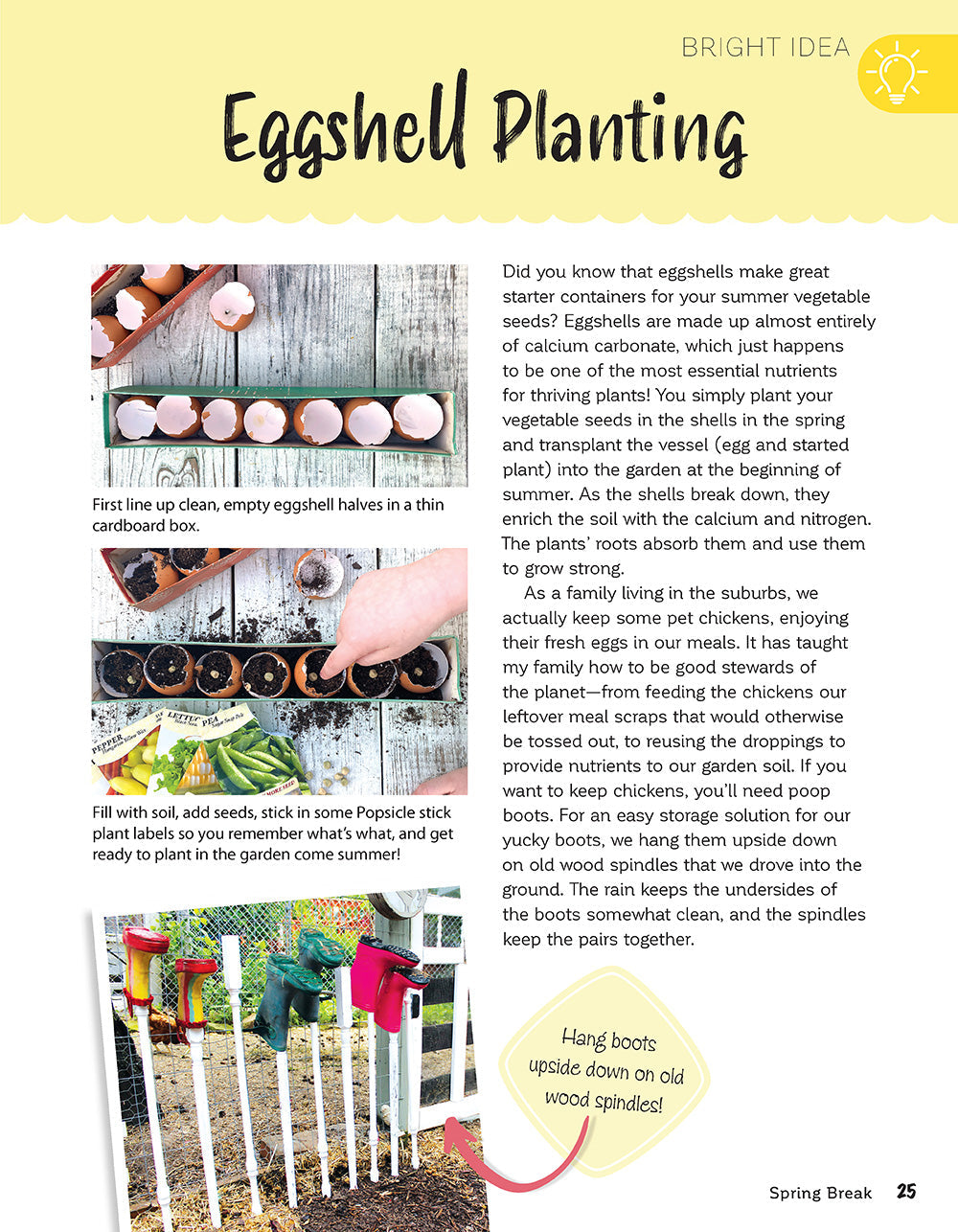 Crafty Family Ideas