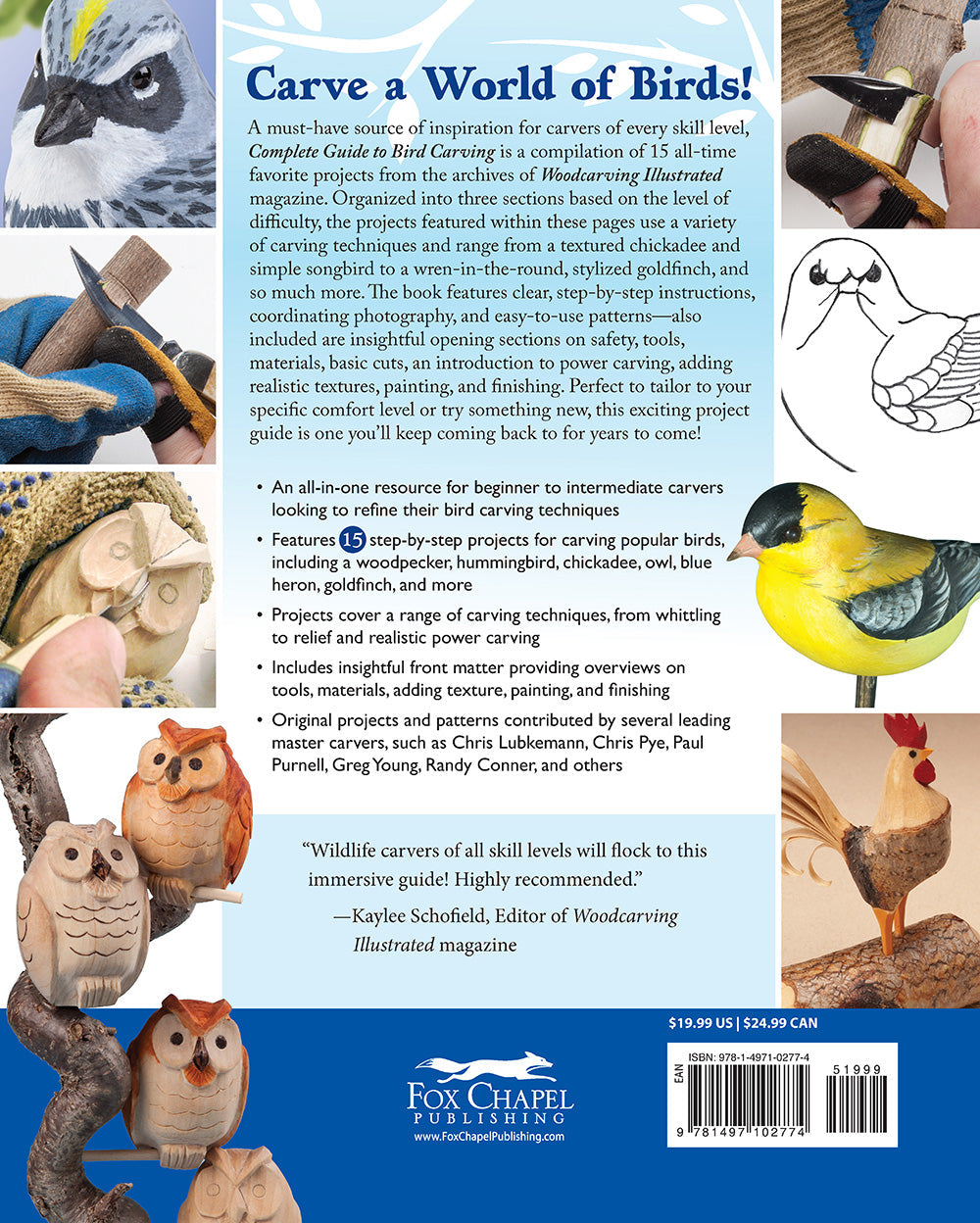 Complete Guide to Bird Carving