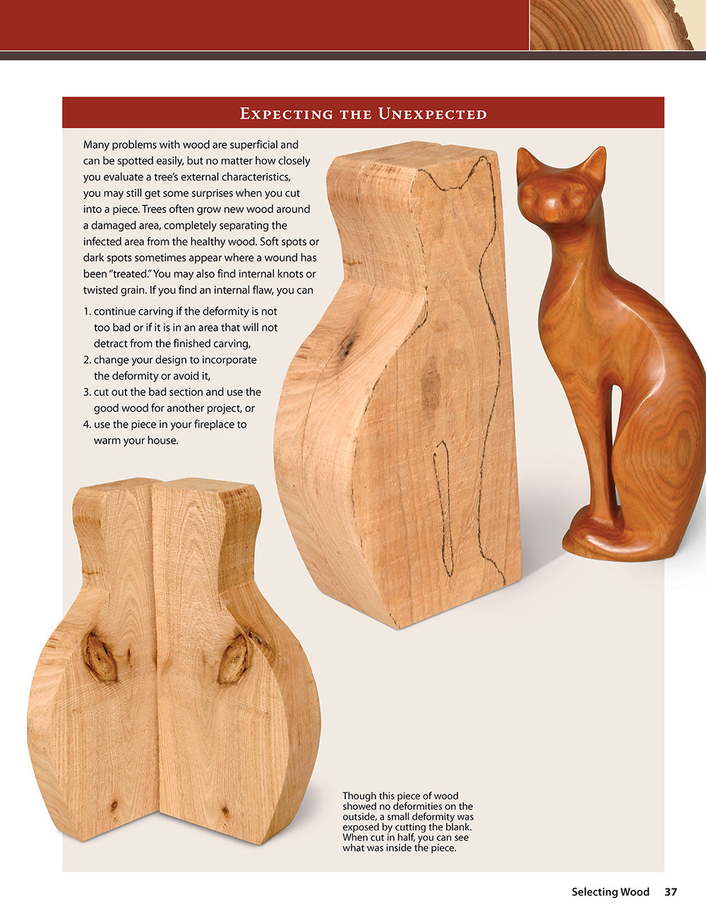 The Complete Book of Woodcarving, Updated Edition