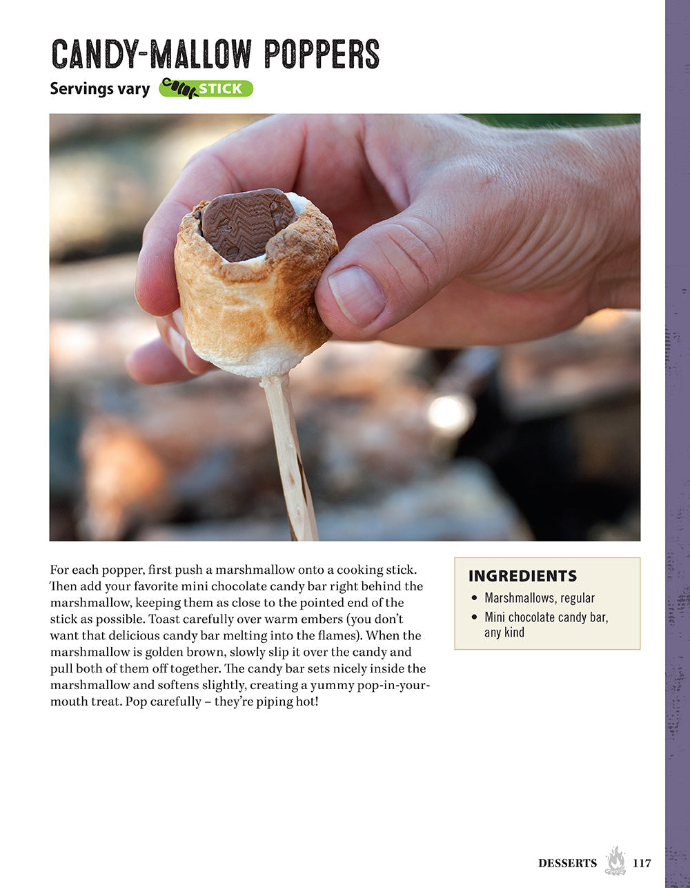 The New Campfire Cookbook