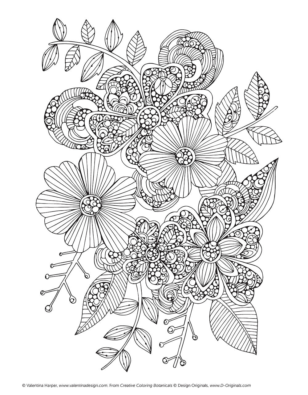 Creative Coloring Botanicals