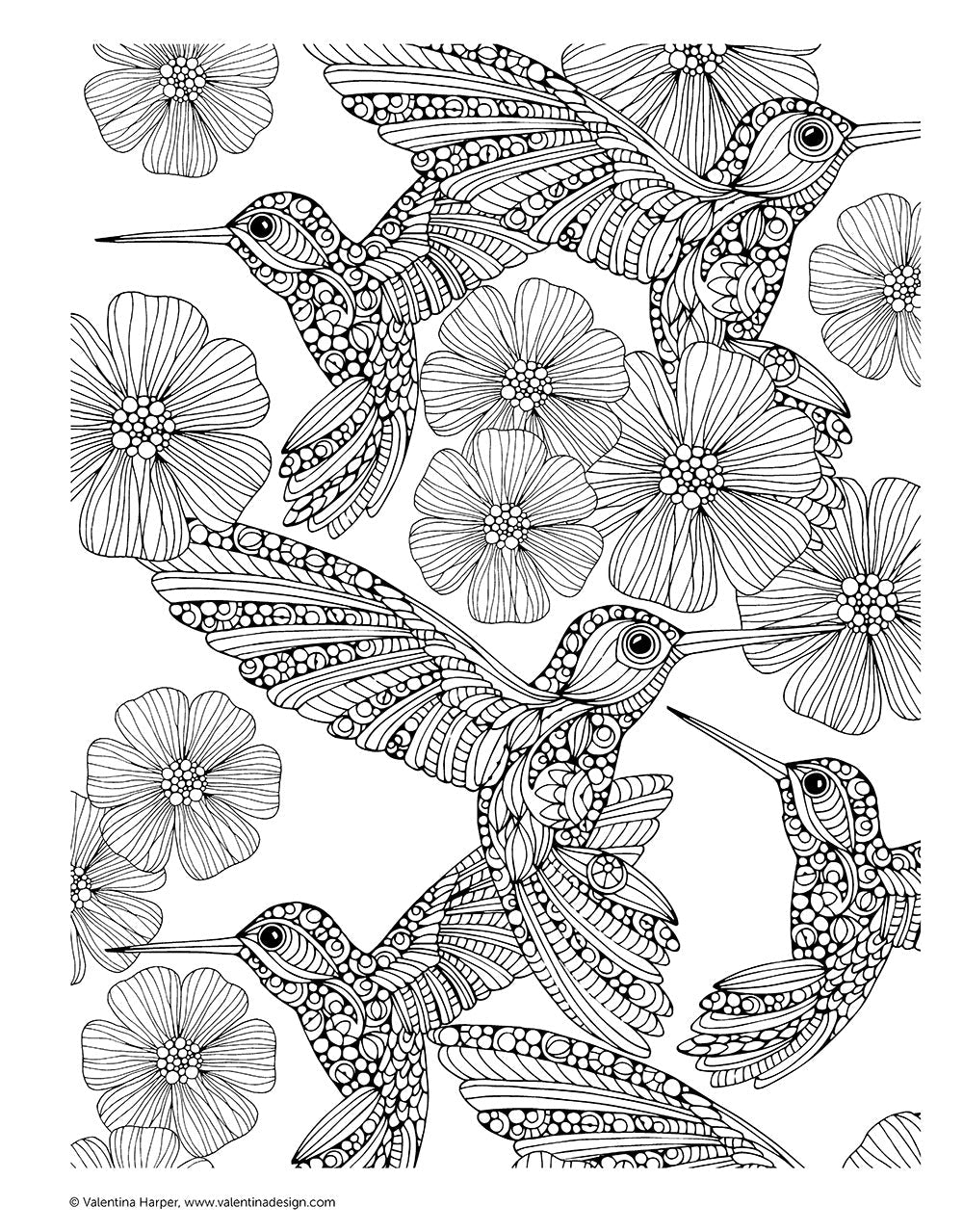 Creative Coloring Patterns of Nature