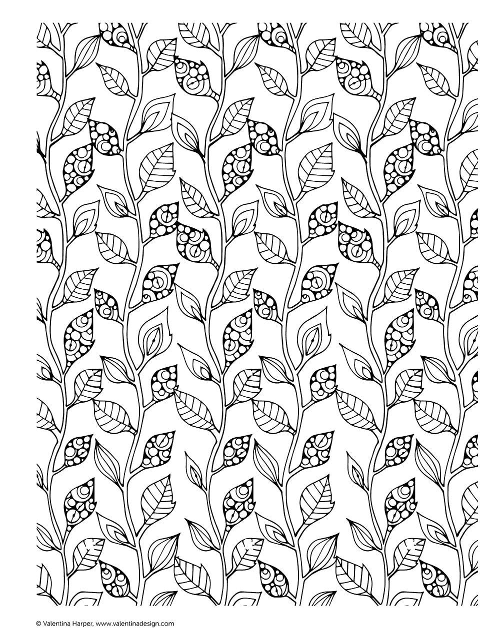 Creative Coloring Patterns of Nature