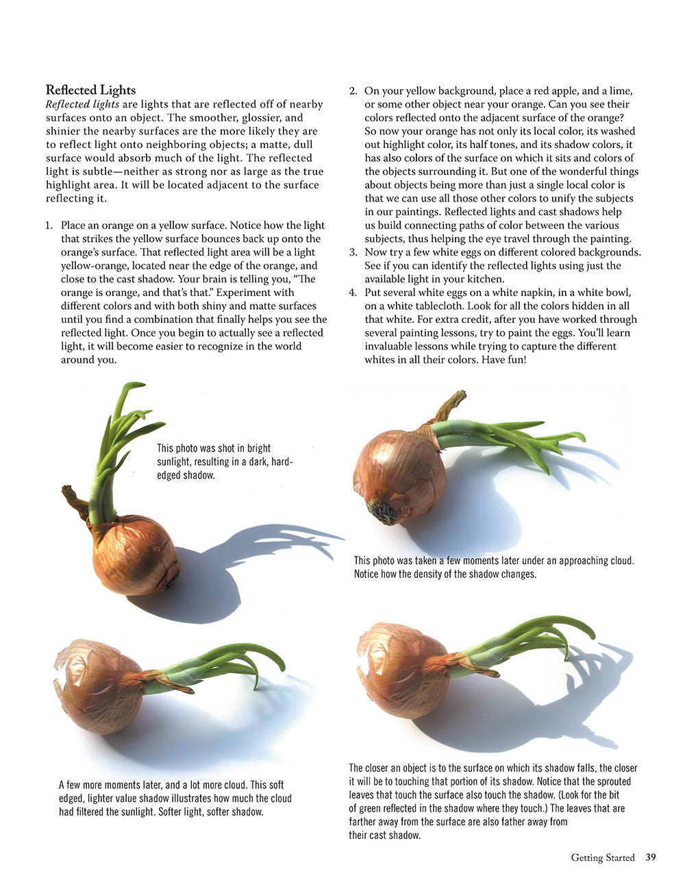 Jackie Shaws Learn to Paint Fruits & Vegetables