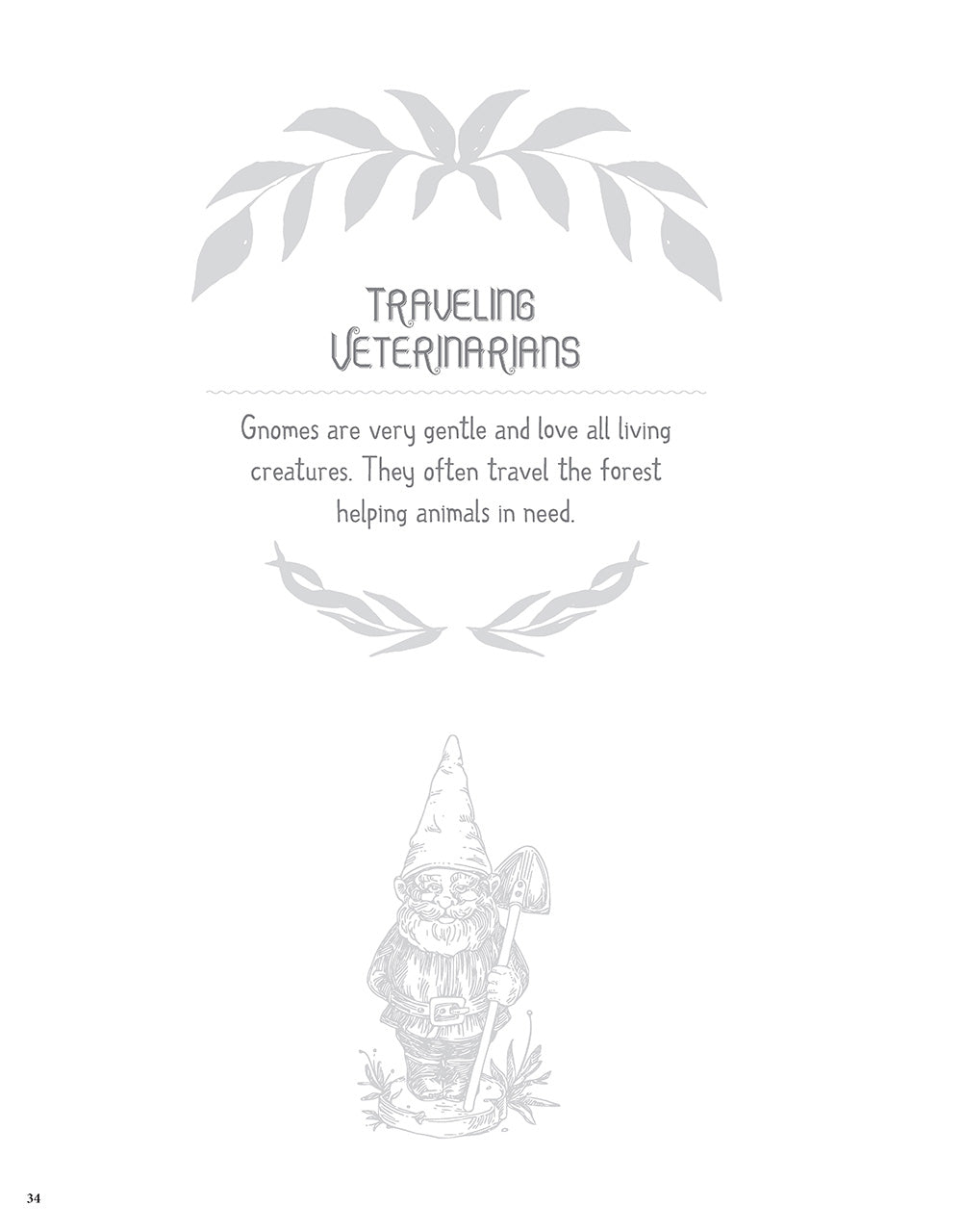 Garden Gnomes Coloring Book