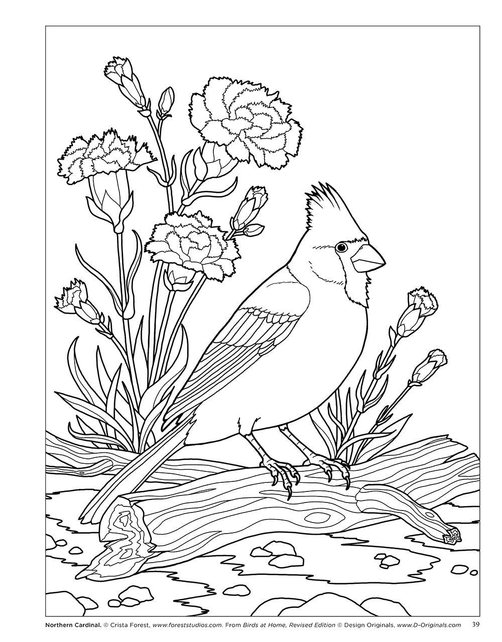 Birds at Home Coloring Book (Revised Edition)