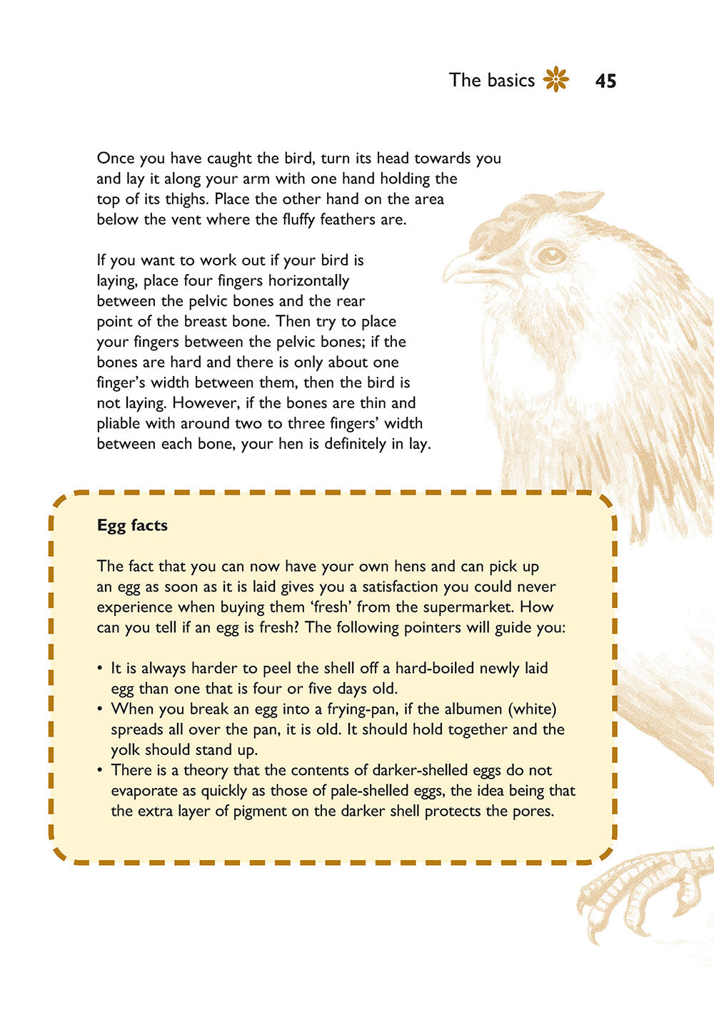 Self-Sufficiency: Hen Keeping