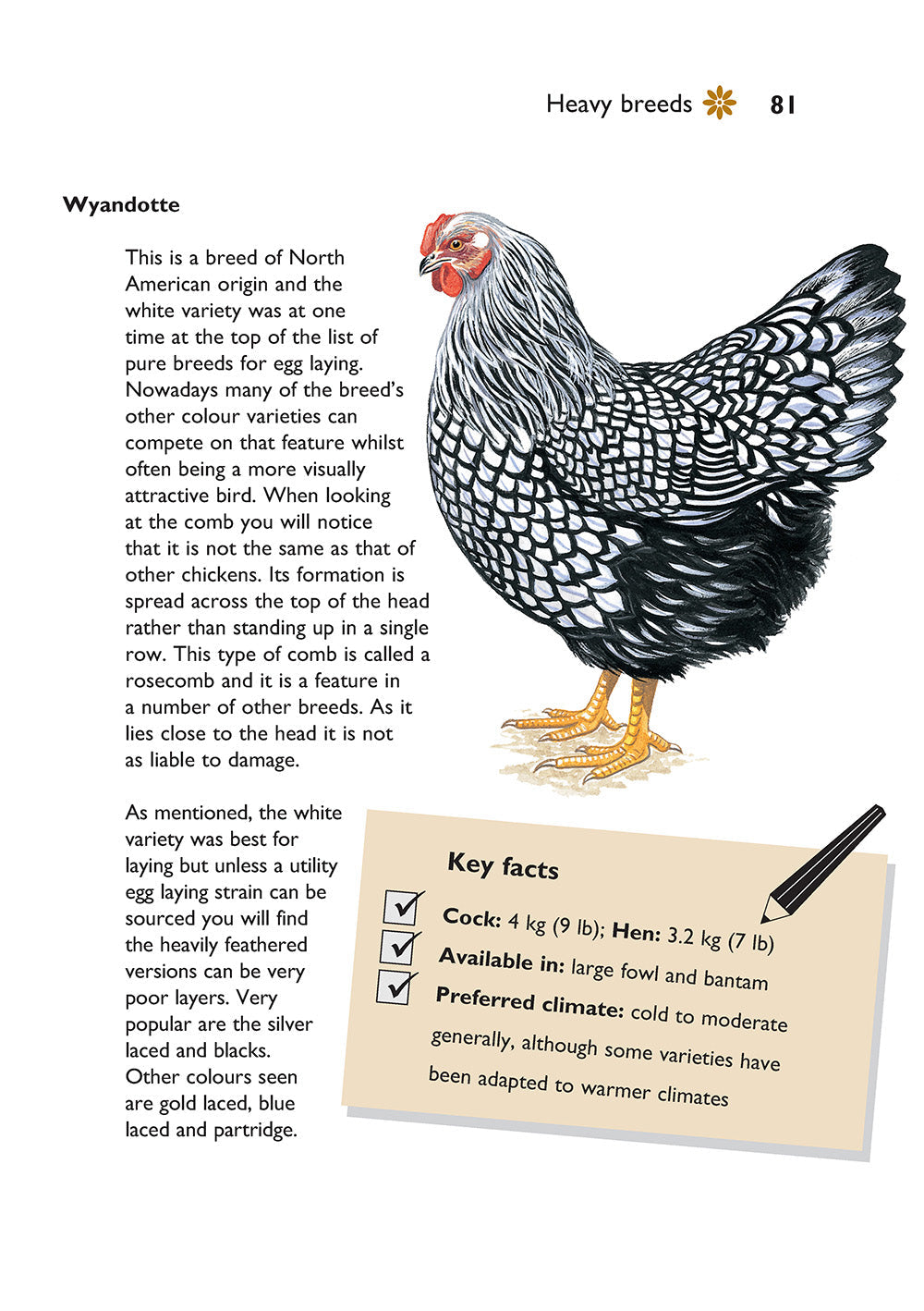 Self-Sufficiency: Hen Keeping
