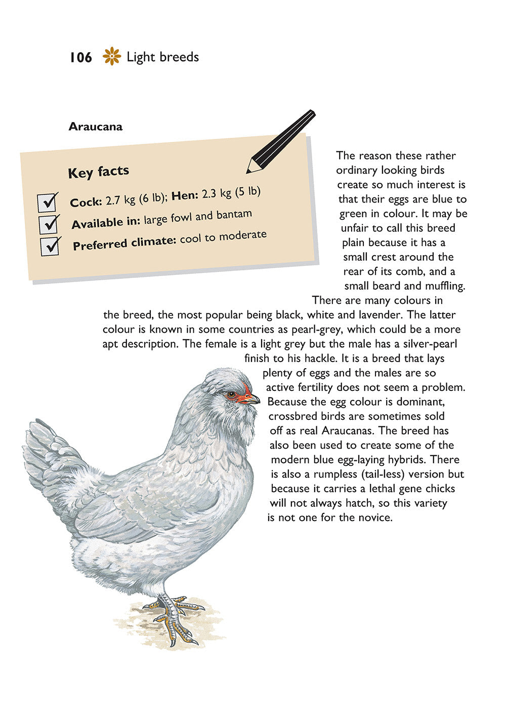 Self-Sufficiency: Hen Keeping
