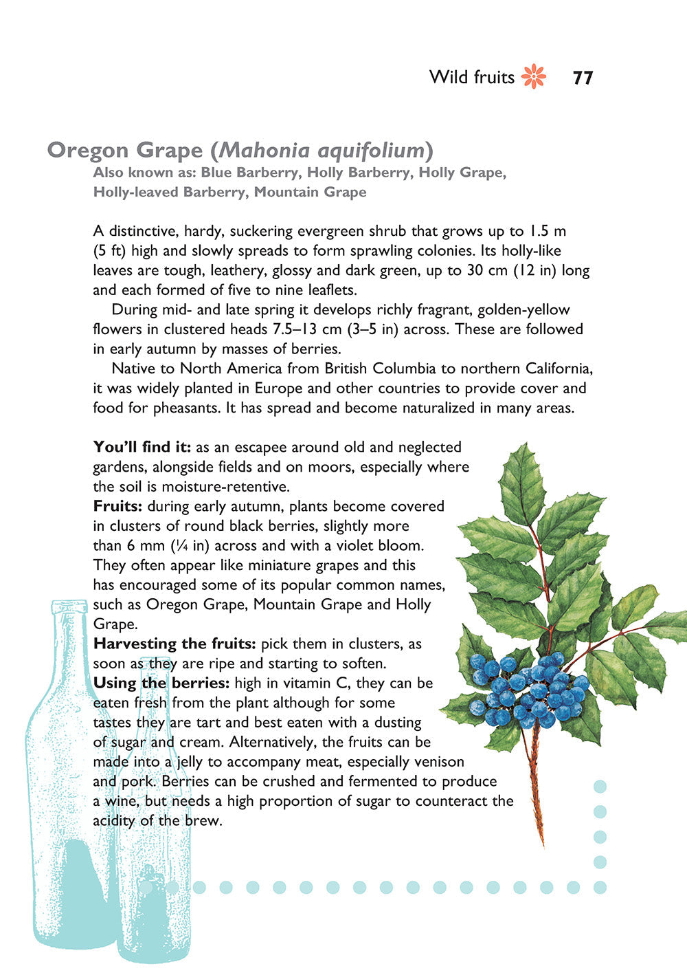 Self-Sufficiency: Foraging for Wild Foods