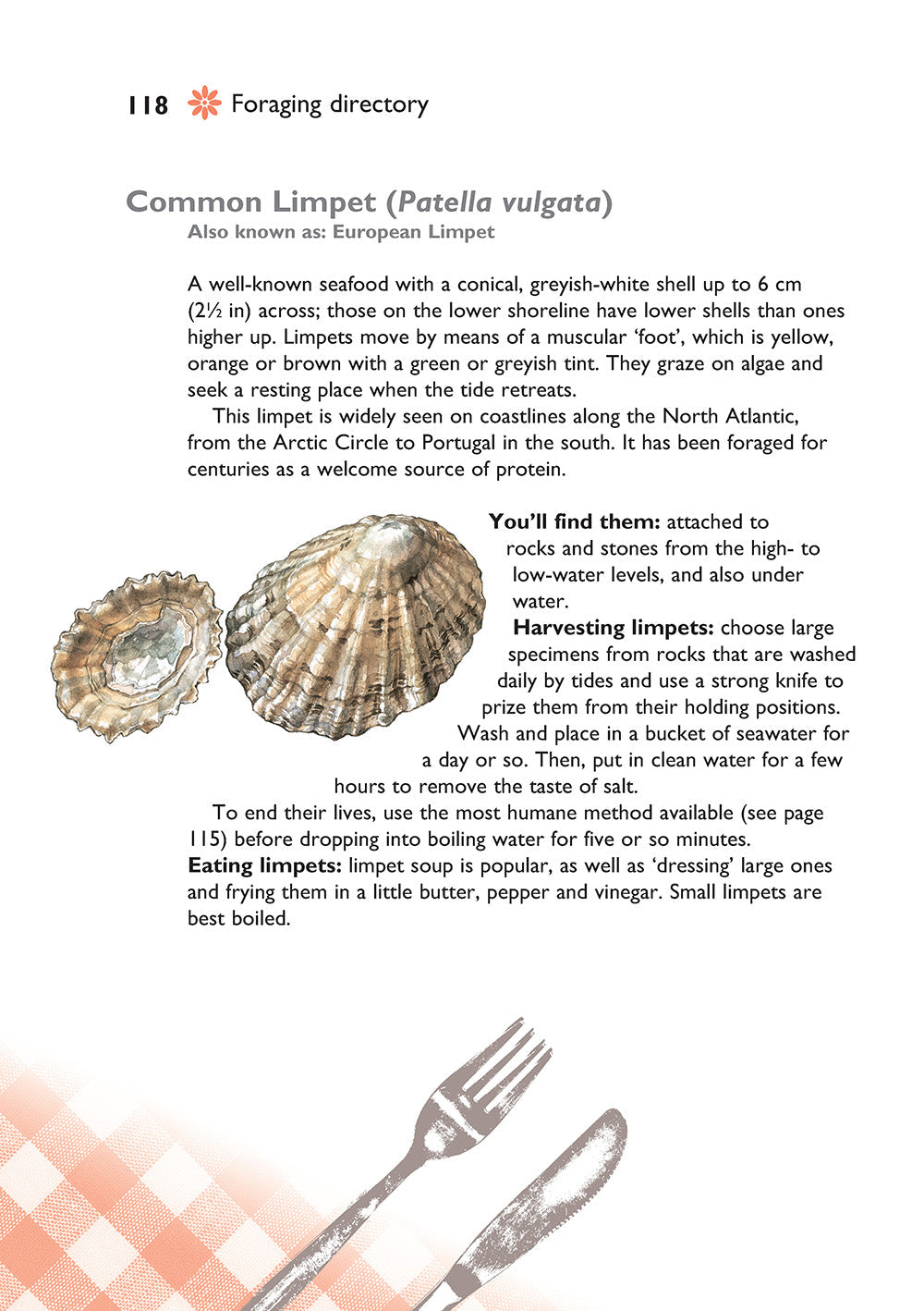 Self-Sufficiency: Foraging for Wild Foods