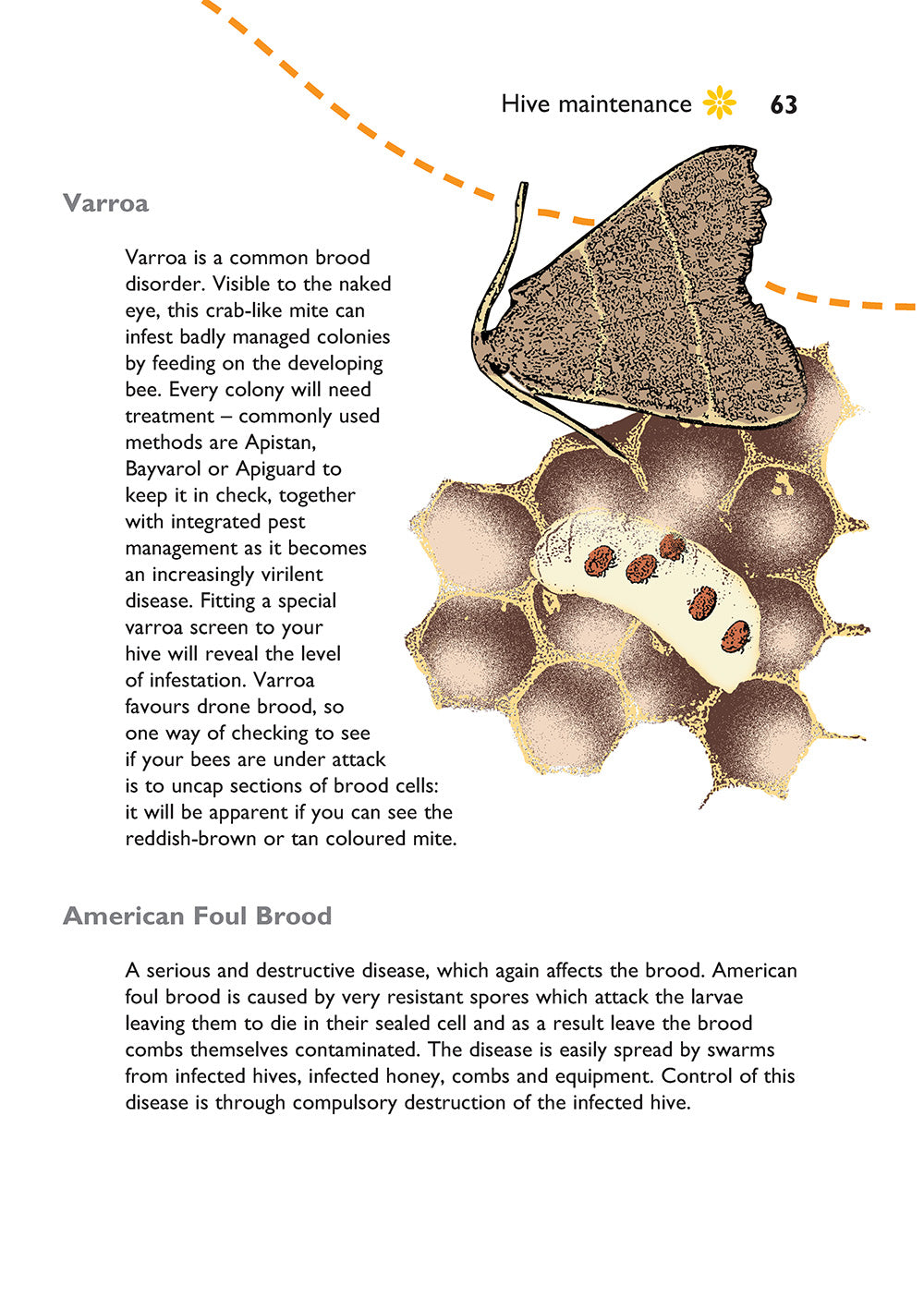Self-Sufficiency: Beekeeping