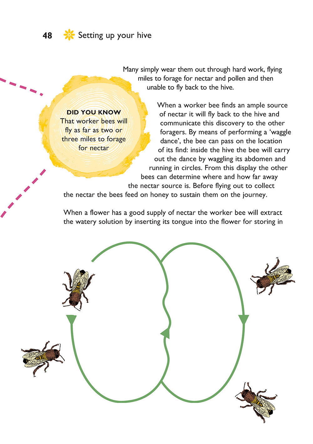Self-Sufficiency: Beekeeping