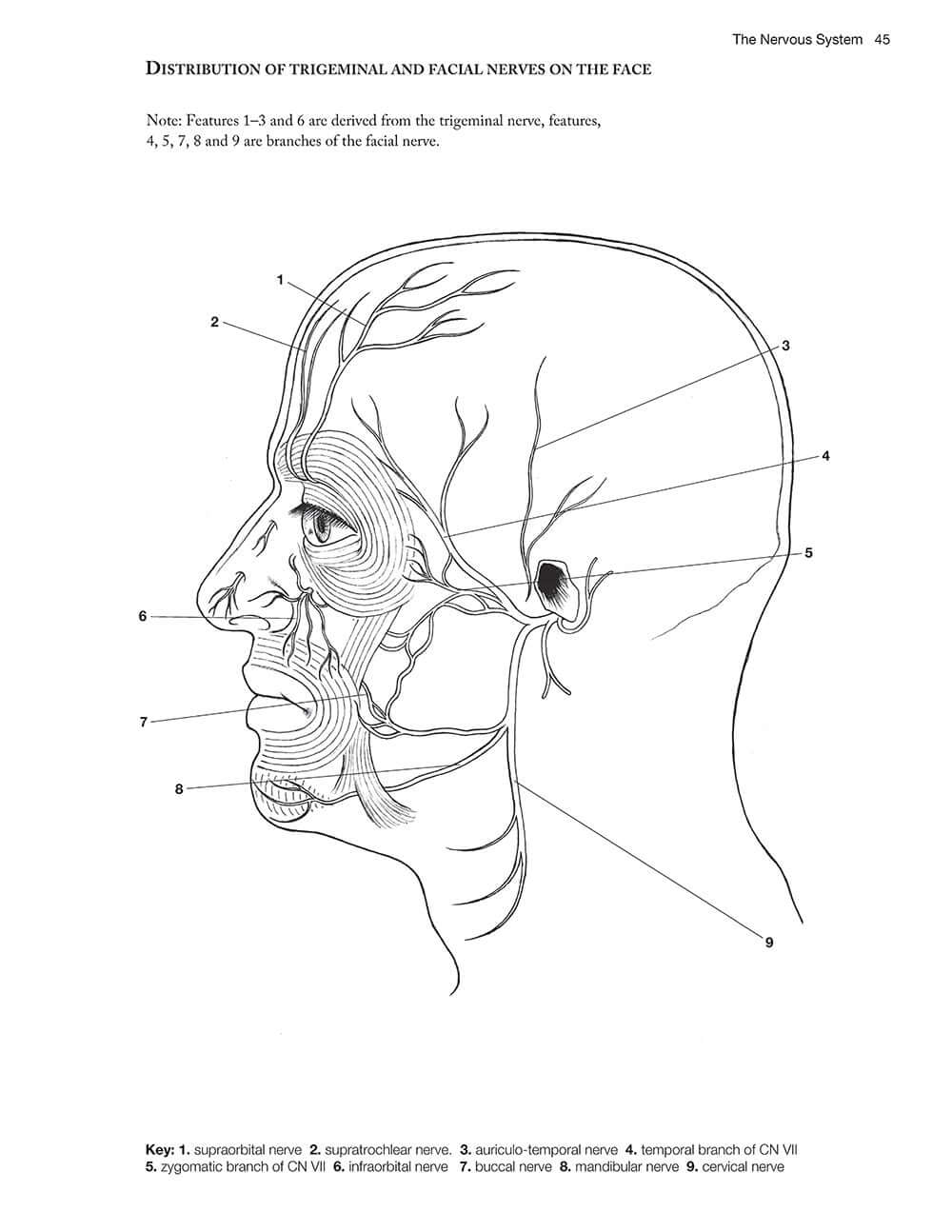 Complete Anatomy Coloring Book, Newly Revised and Updated Edition