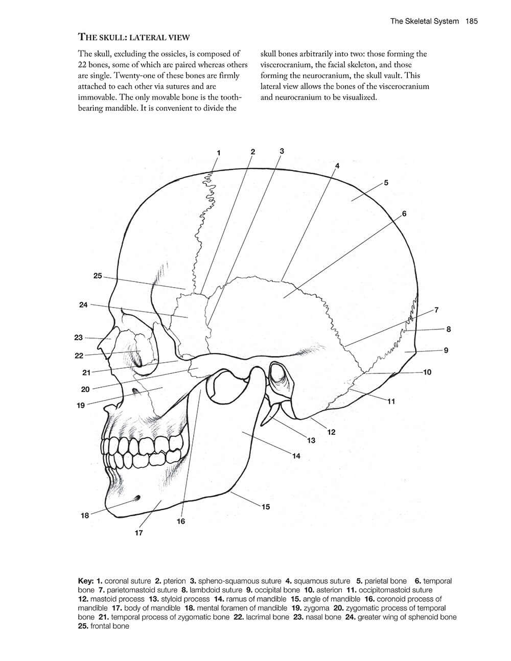 Complete Anatomy Coloring Book, Newly Revised and Updated Edition