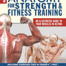 New Anatomy for Strength & Fitness Training