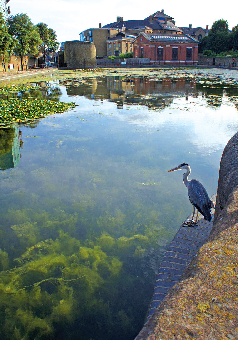 Inside Walking London's Waterways, Updated Edition – Book, ISBN 9781504800556