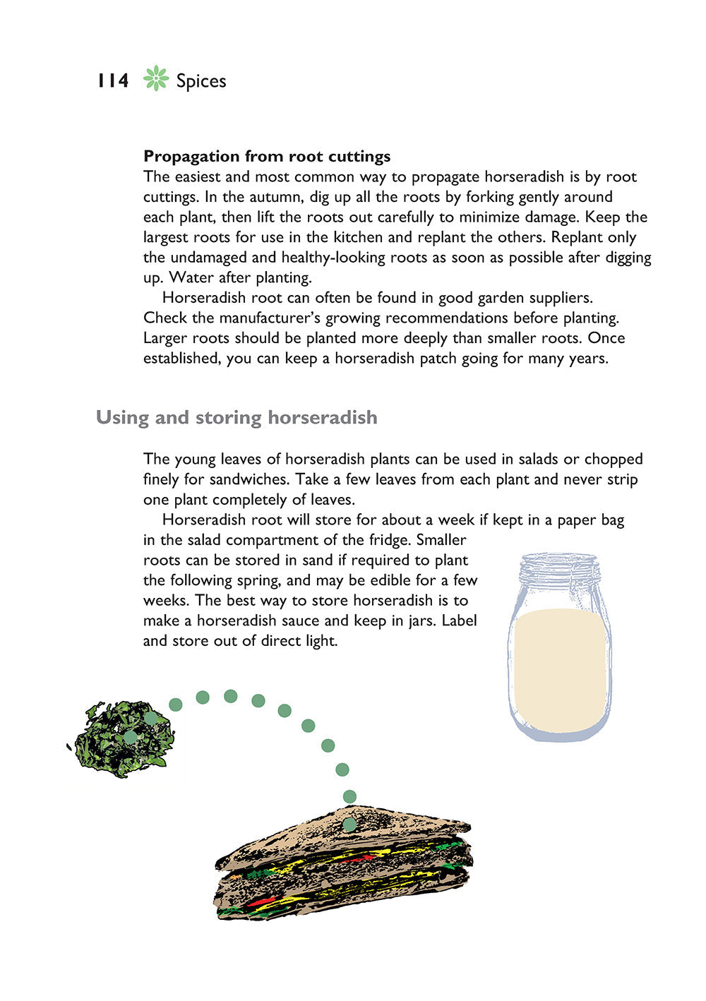 Self-Sufficiency: Herbs and Spices