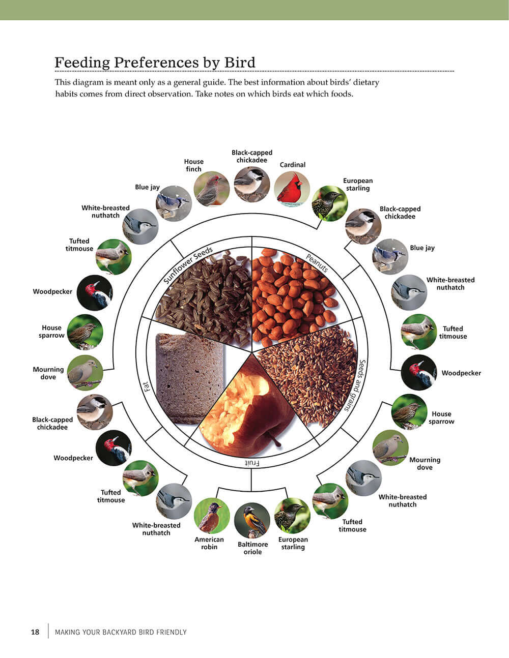 Birdhouses, Boxes & Feeders for the Backyard Hobbyist