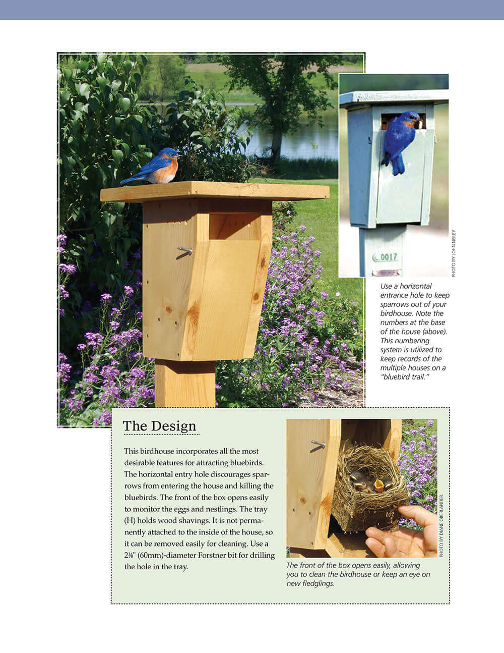Birdhouses, Boxes & Feeders for the Backyard Hobbyist