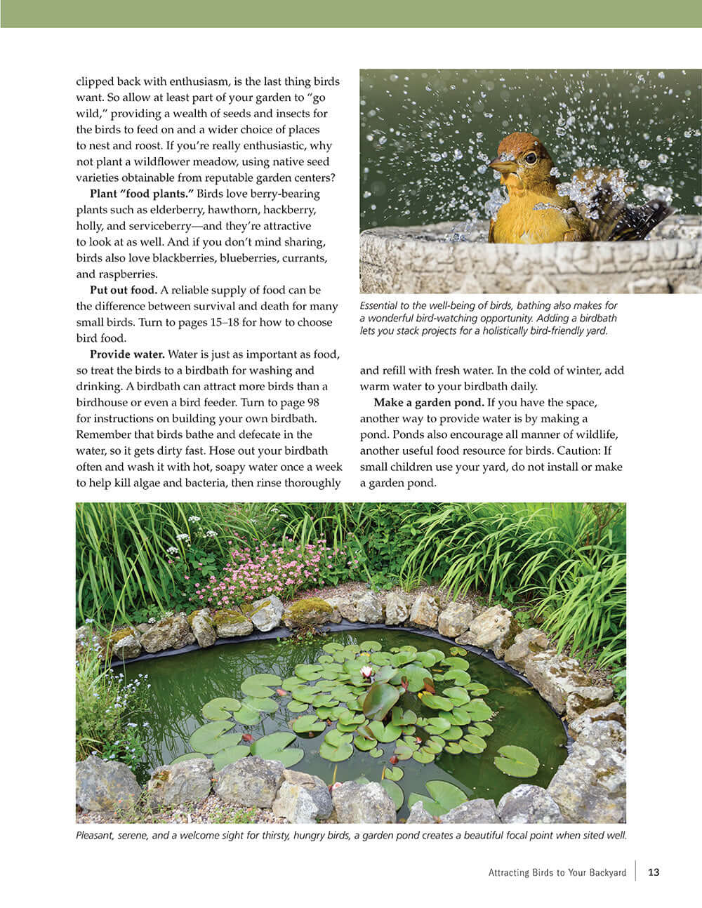 Birdhouses, Boxes & Feeders for the Backyard Hobbyist