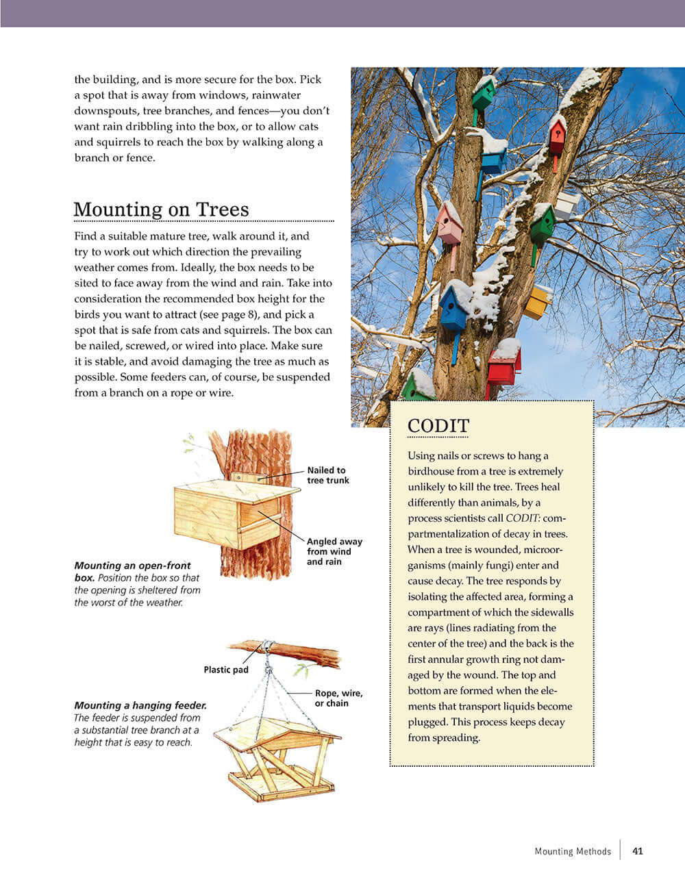 Birdhouses, Boxes & Feeders for the Backyard Hobbyist