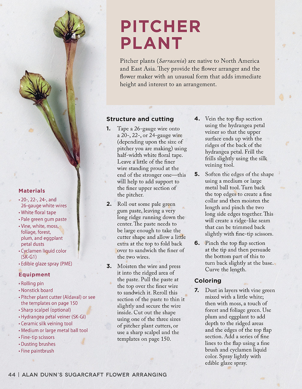 Alan Dunns Sugarcraft Flower Arranging