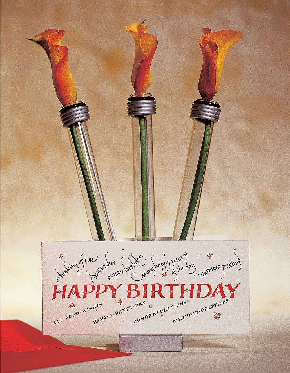 Calligraphy, Second Revised Edition