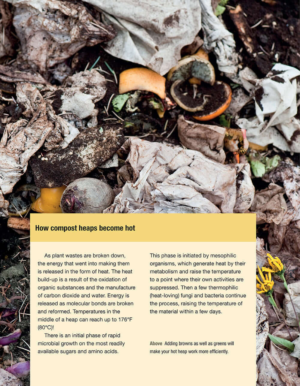 Organic Book of Compost, 2nd Revised Edition