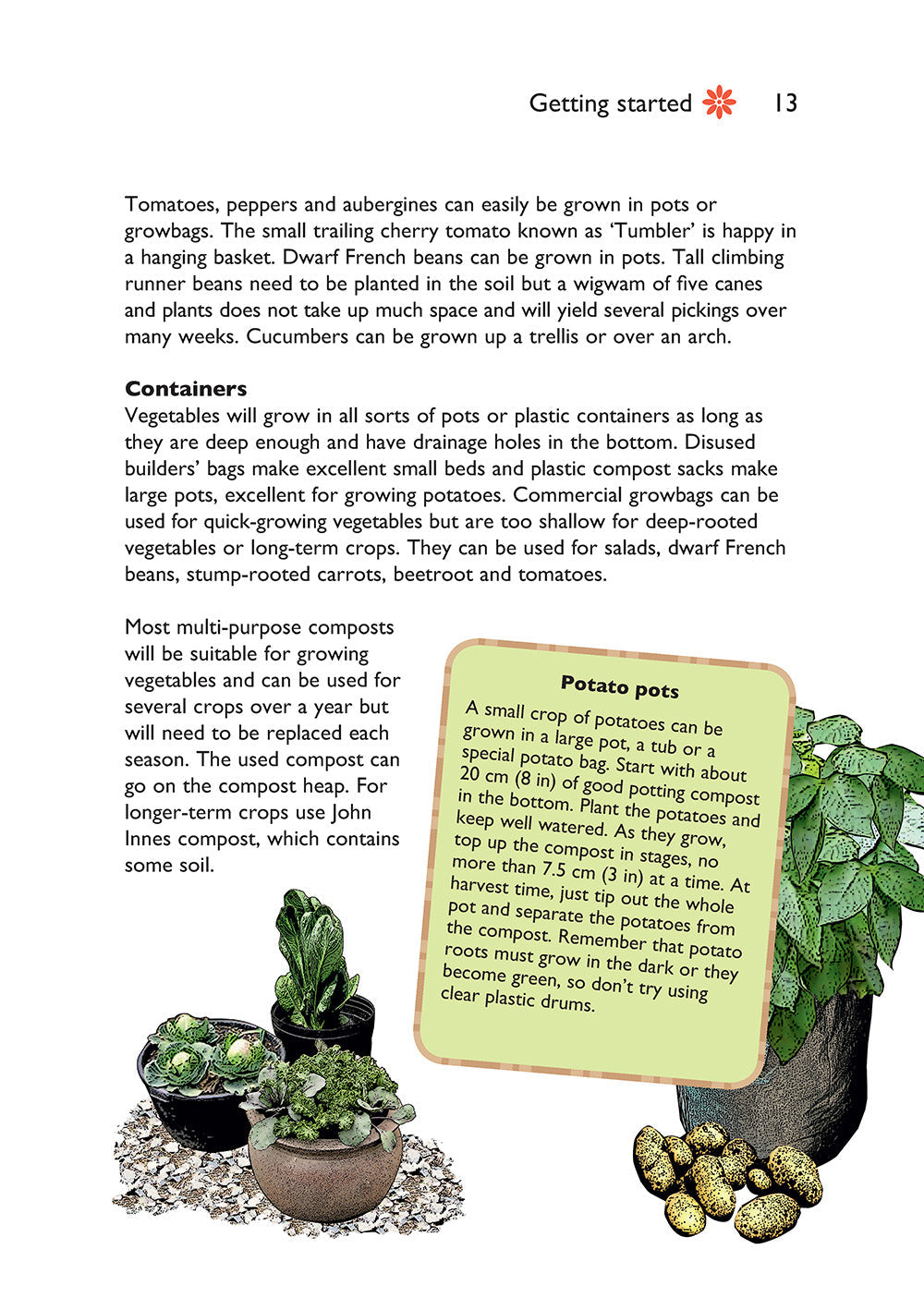 Self-Sufficiency: Grow Your Own