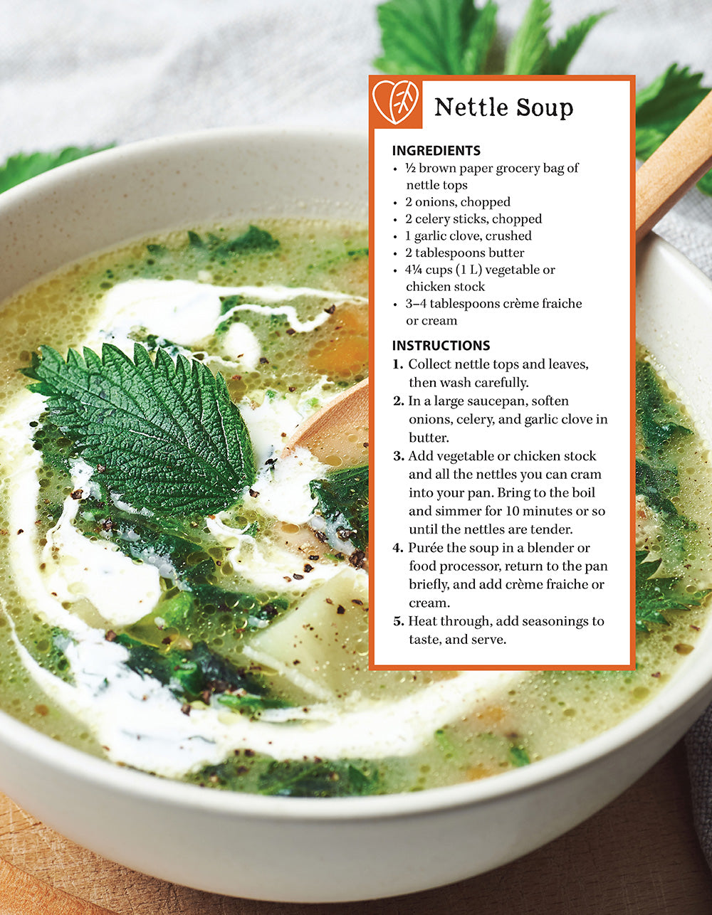 A Guide to Wild Food Foraging