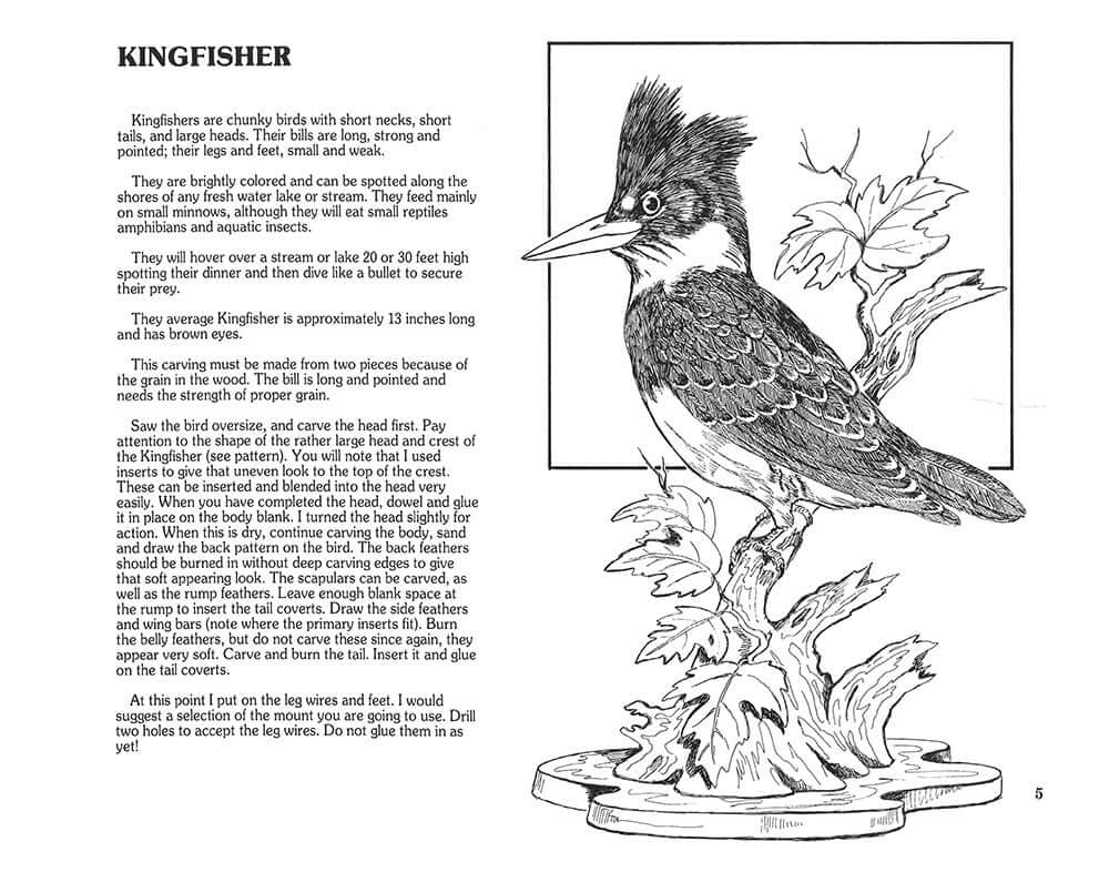 Realism in Wood #2 Birds & Animals