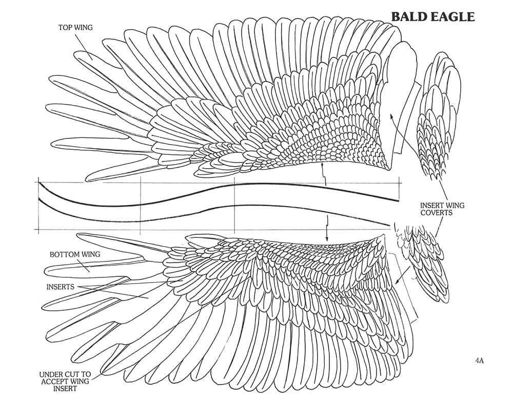 Realism in Wood #2 Birds & Animals