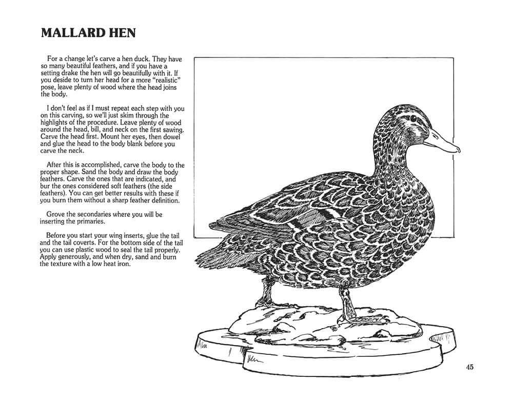 Realism in Wood #2 Birds & Animals