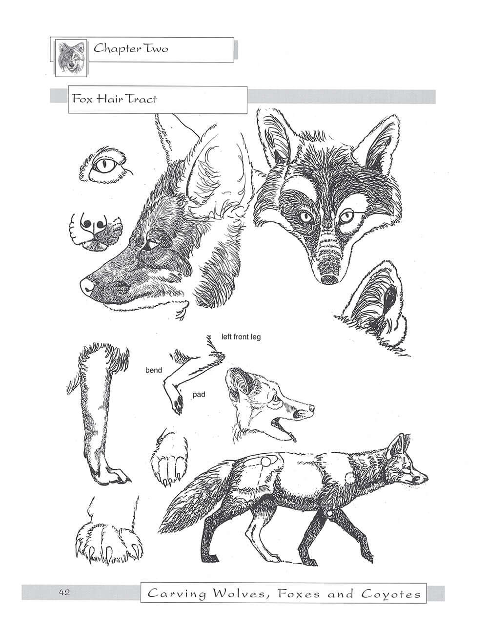 Carving Wolves, Foxes & Coyotes