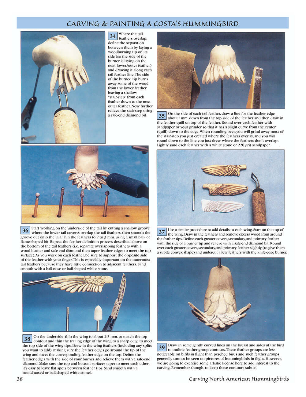 Carving North American Hummingbirds & Their Habitat