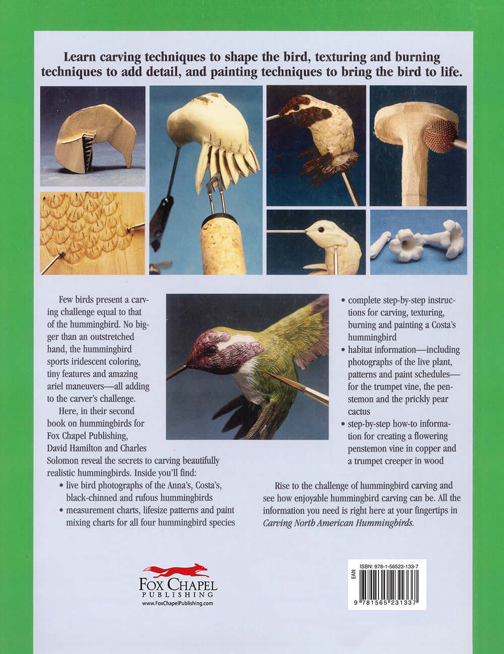 Carving North American Hummingbirds & Their Habitat