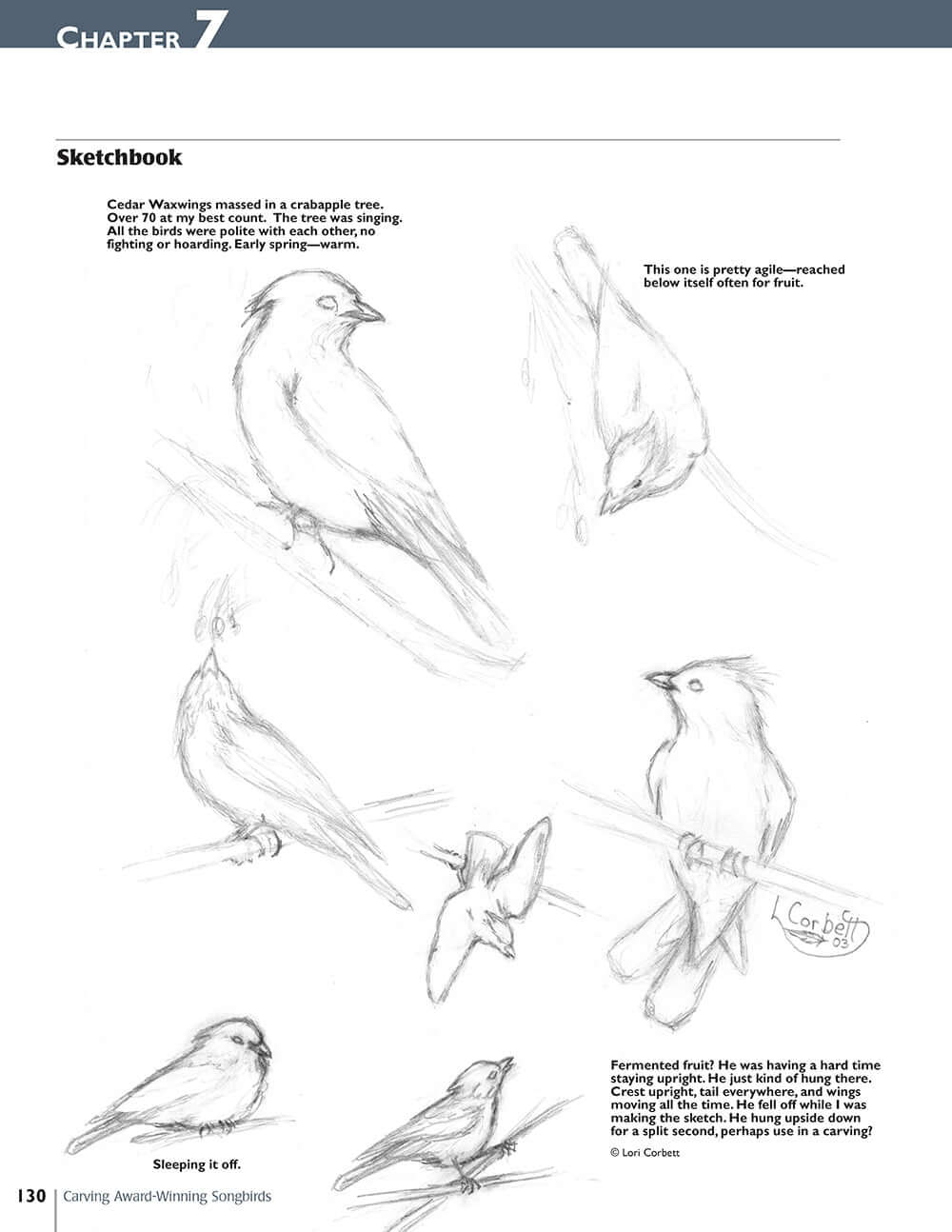 Carving Award-Winning Songbirds